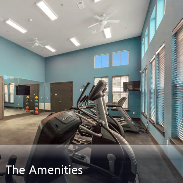 Features & Amenities