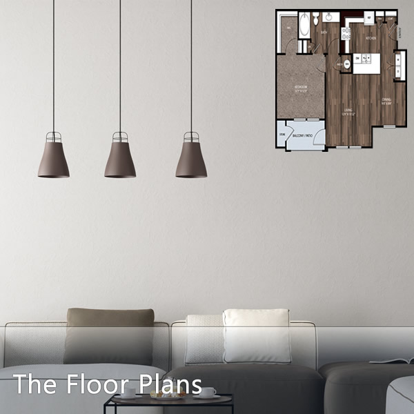 Spacious Floor Plans